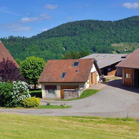 Hebergement Francois Mathieu Saint-Maurice-sur-Moselle Exteriör bild