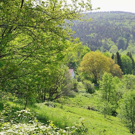 Hebergement Francois Mathieu Saint-Maurice-sur-Moselle Exteriör bild