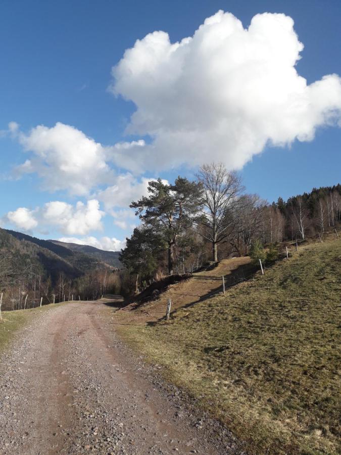 Hebergement Francois Mathieu Saint-Maurice-sur-Moselle Exteriör bild