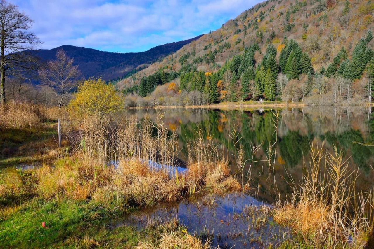 Hebergement Francois Mathieu Saint-Maurice-sur-Moselle Exteriör bild