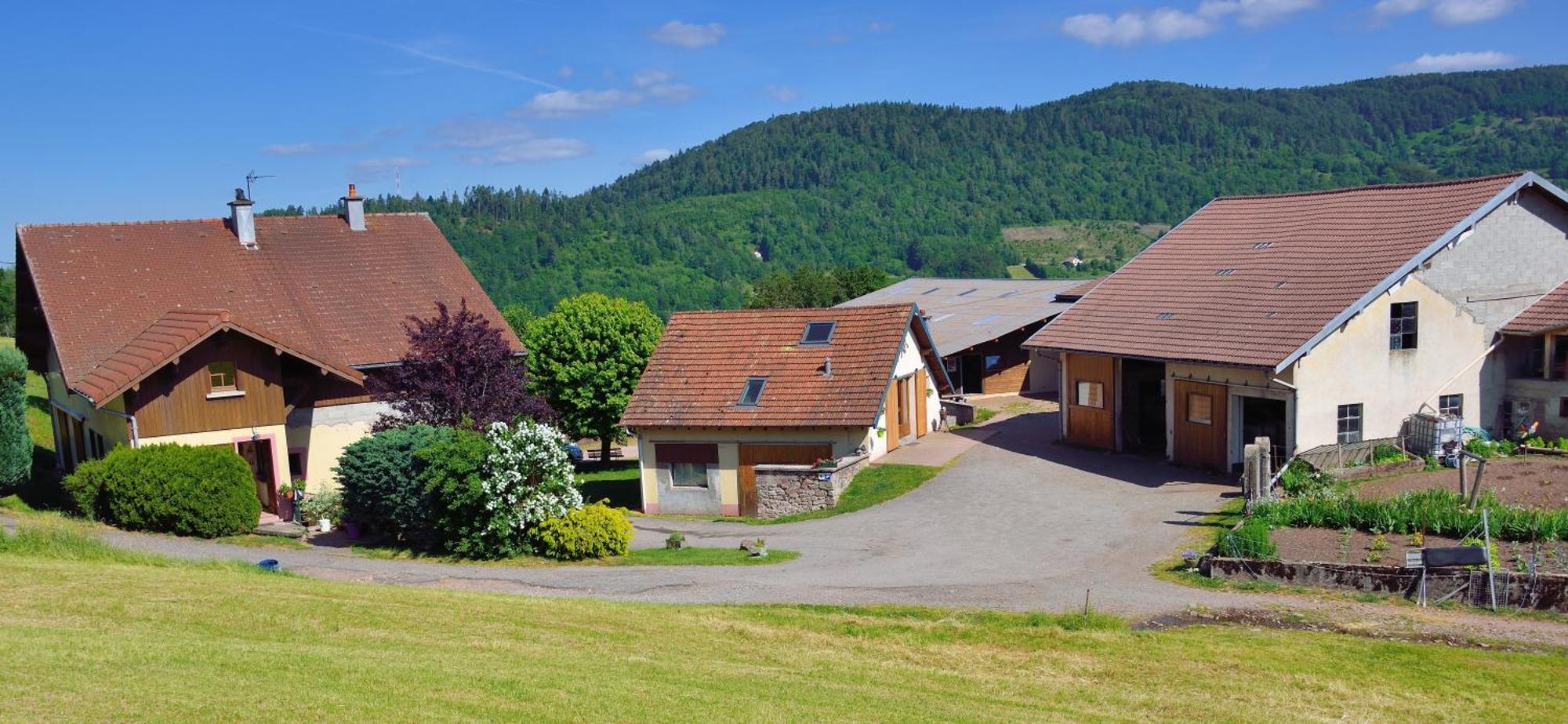 Hebergement Francois Mathieu Saint-Maurice-sur-Moselle Exteriör bild