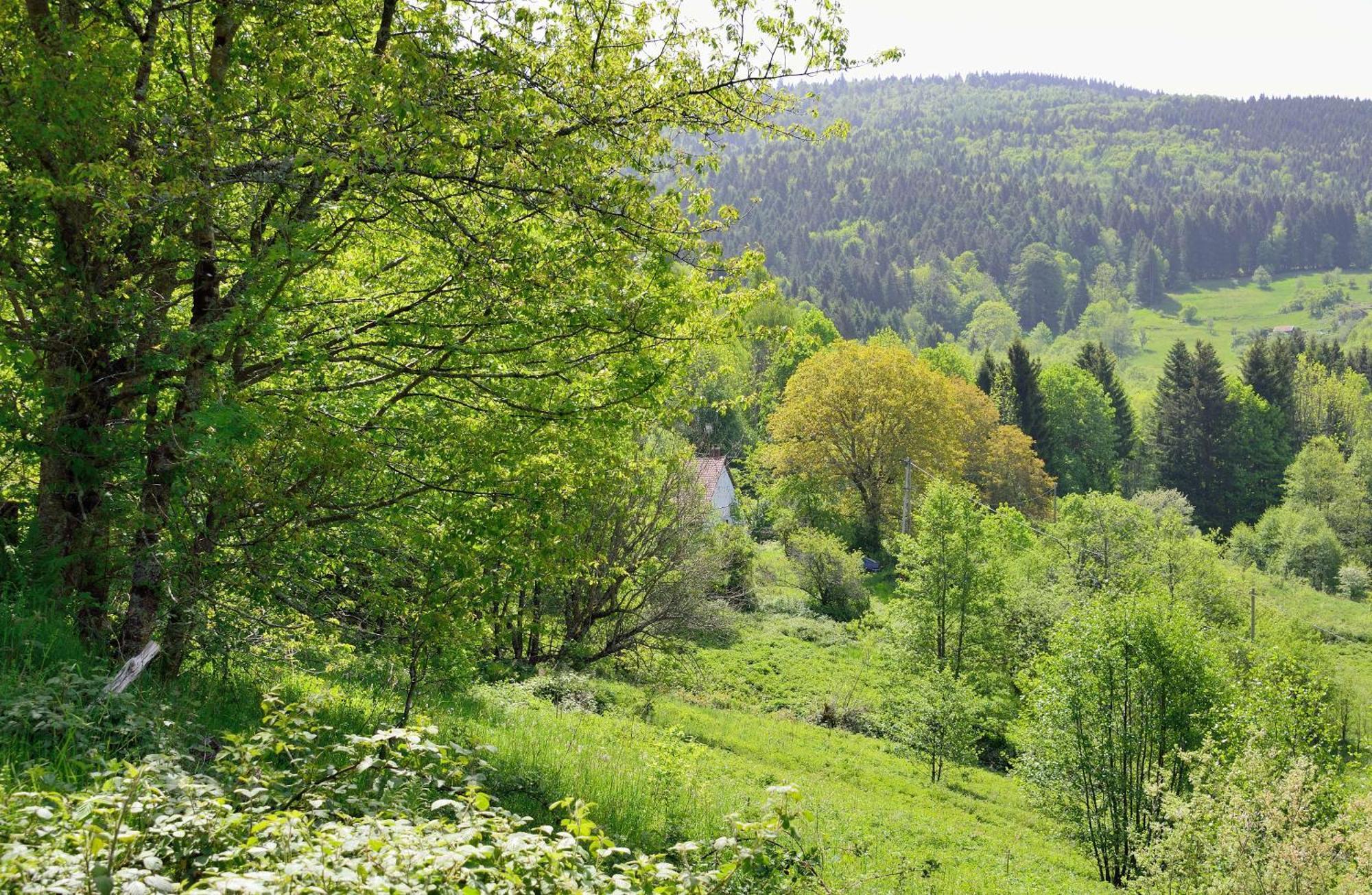 Hebergement Francois Mathieu Saint-Maurice-sur-Moselle Exteriör bild