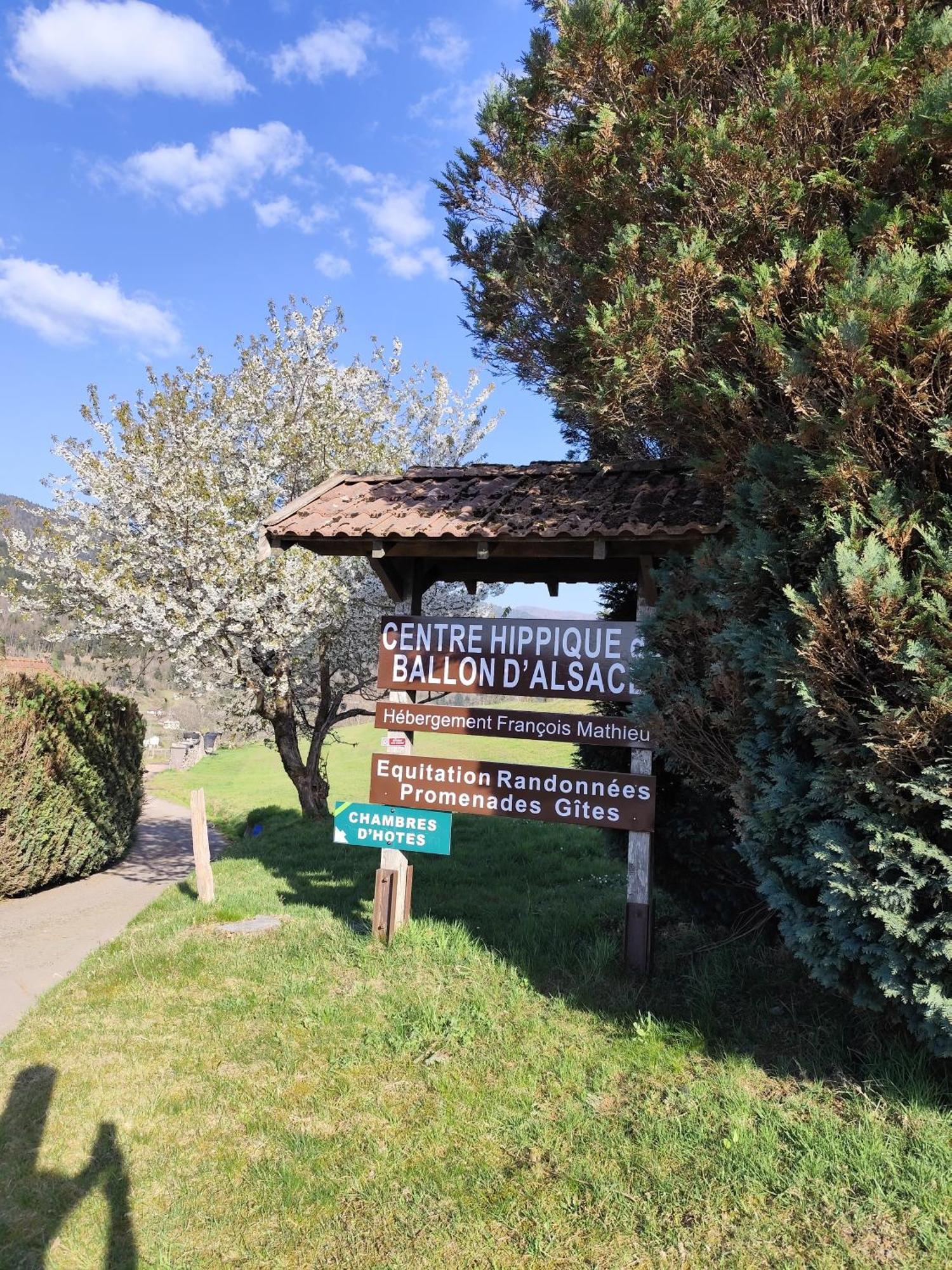 Hebergement Francois Mathieu Saint-Maurice-sur-Moselle Exteriör bild